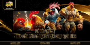 Đá Gà Sao79 - Hấp Dẫn Với Đa Dạng Trận Chọi Kịch Tính